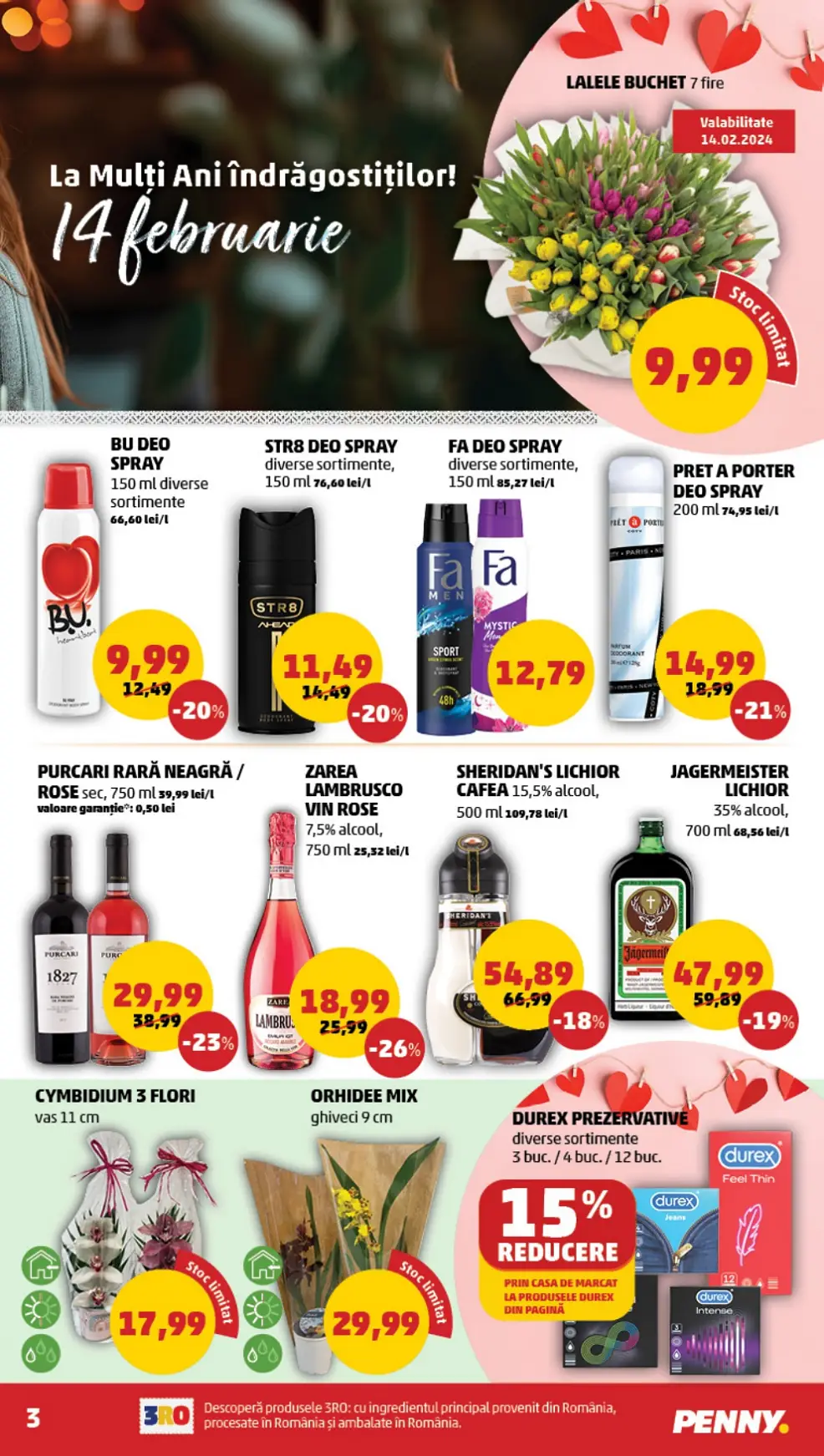 catalog Penny